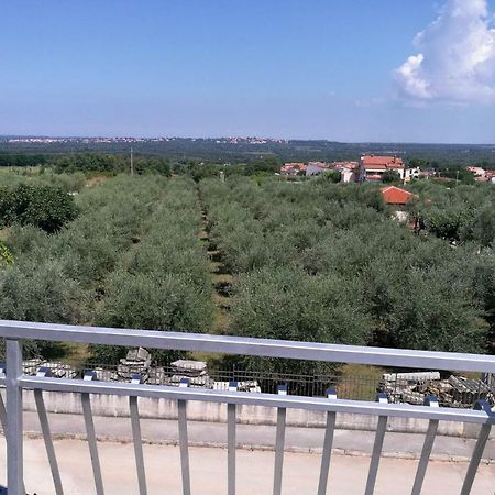Apartment Coskovic Rosini Exterior photo